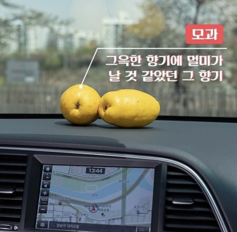 어른스러운 디자인으로 차꾸 하기 | 인스티즈