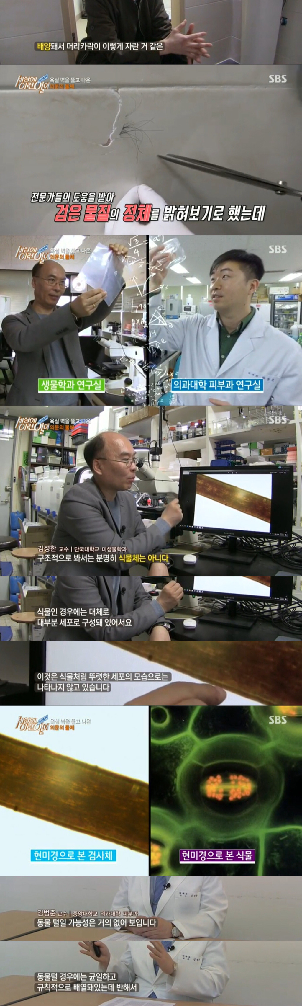 욕실벽에 낀 의문의 머리카락 | 인스티즈
