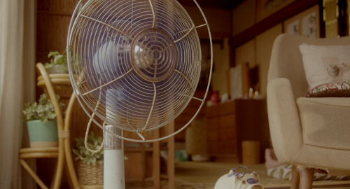 [영화] 고양이를 빌려드립니다.jpgif | 인스티즈