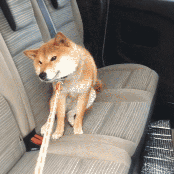 혼자 가라고 씨바.gif | 인스티즈