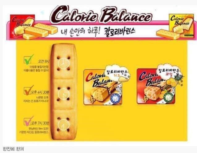 칼로리바란스의 적정량 | 인스티즈