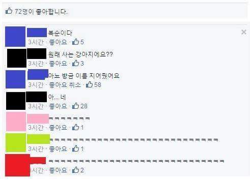 이 강아지 주인이 있는 강아지인가요?.jpg | 인스티즈