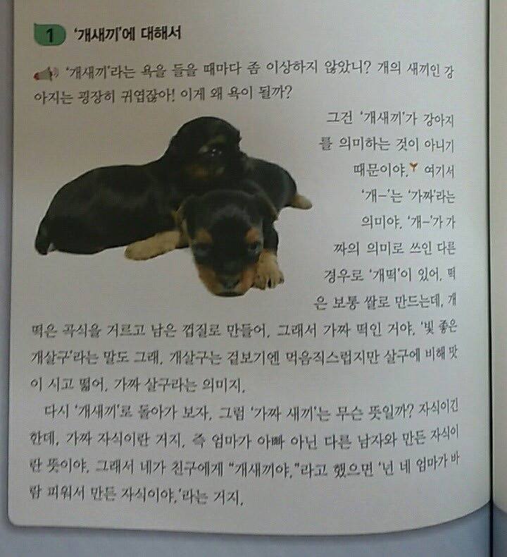많은 사람들이 잘 모르는 ""의 어원.. 알고 욕합시다 | 인스티즈
