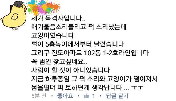 경기도 남양주시에서 길고양이를 폭행 후 창밖으로 던져 사망하게 한 일이 발생했긔 (고양이 시체사진 있긔) | 인스티즈