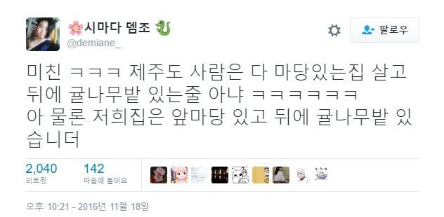 제주도라고 다 귤농사 짓고 그런다는 거 편견이야.twt | 인스티즈