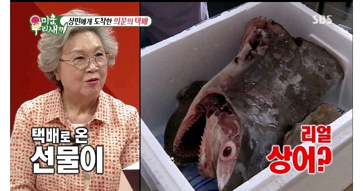 팬한테 상어머리 선물받은 이상민 | 인스티즈