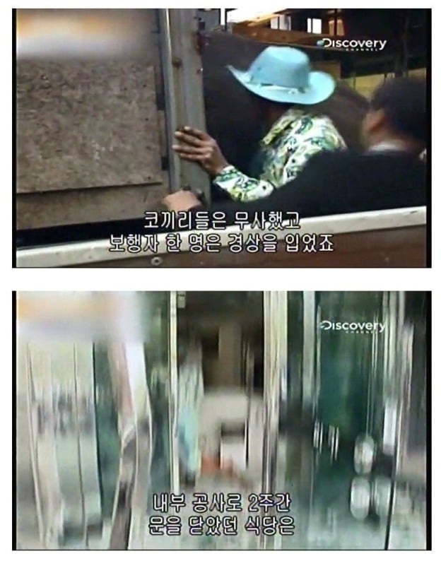 어린이대공원 코끼리 레전드 사건 jpg | 인스티즈