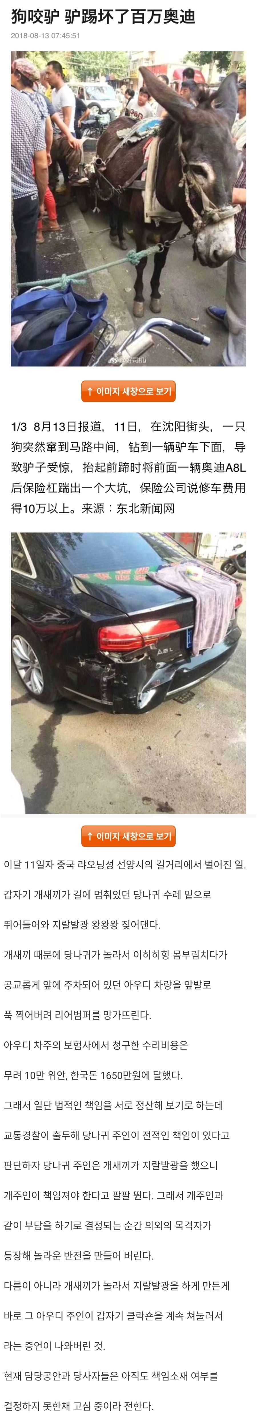 중국의 기묘한 사건 | 인스티즈