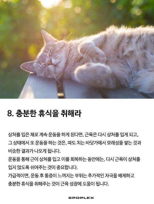 근육운동의 기본 | 인스티즈