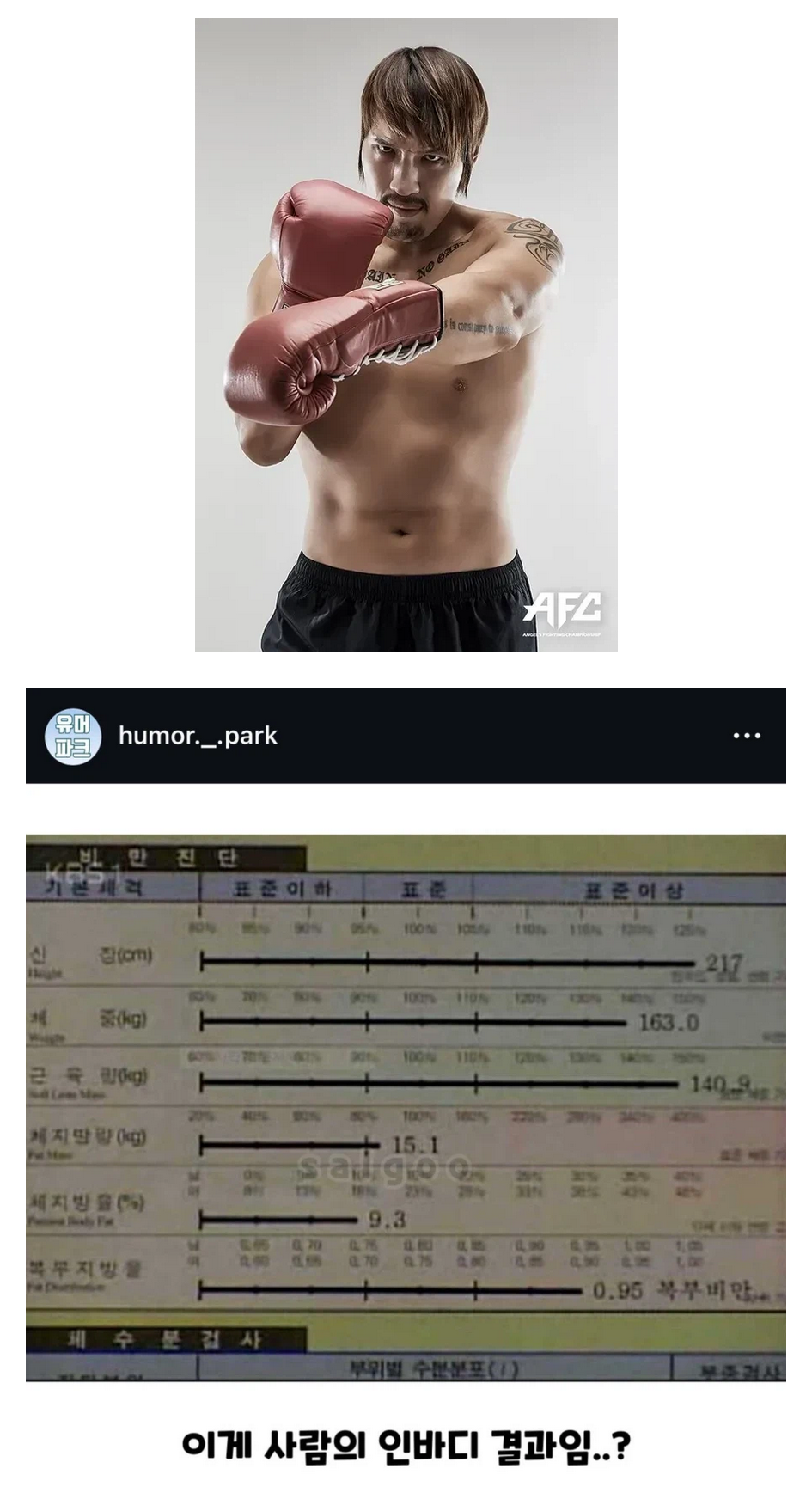 최홍만 아시아 피지컬 원탑이던 시절 | 인스티즈