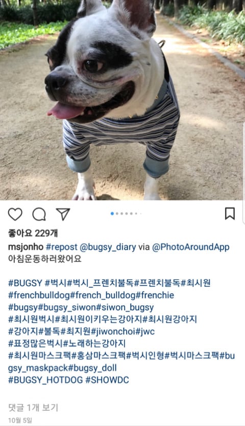 피해자 사망 이후에도 개 목줄 안하고 산책 다닌 최시원 가족들 | 인스티즈