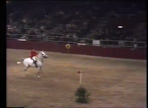 사람들이 백마 백마 하는 이유가 다 있음...gif | 인스티즈