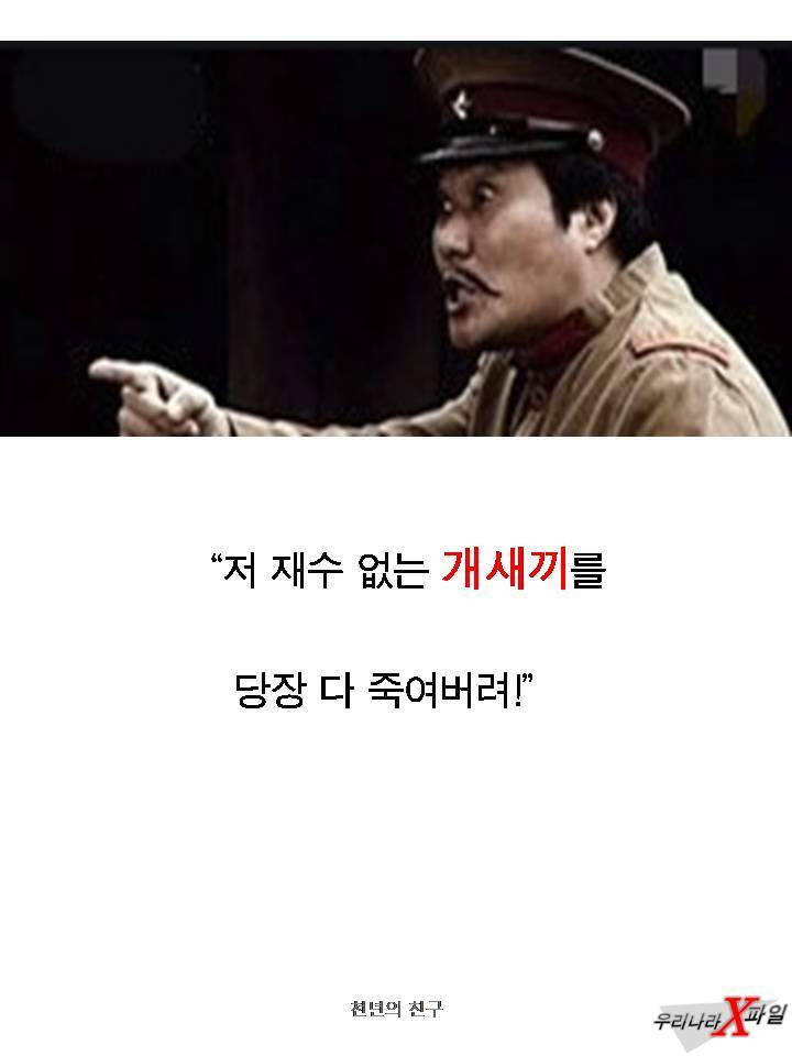 충격적인 개의 실체 ㄷㄷㄷㄷㄷ.JPG | 인스티즈