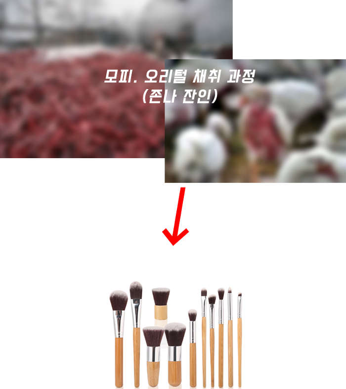 화장하는 여자들중에 이거 생각해본 사람 거의 없음 (부제: 메이크업 브러쉬의 끔찍한 진실...) | 인스티즈