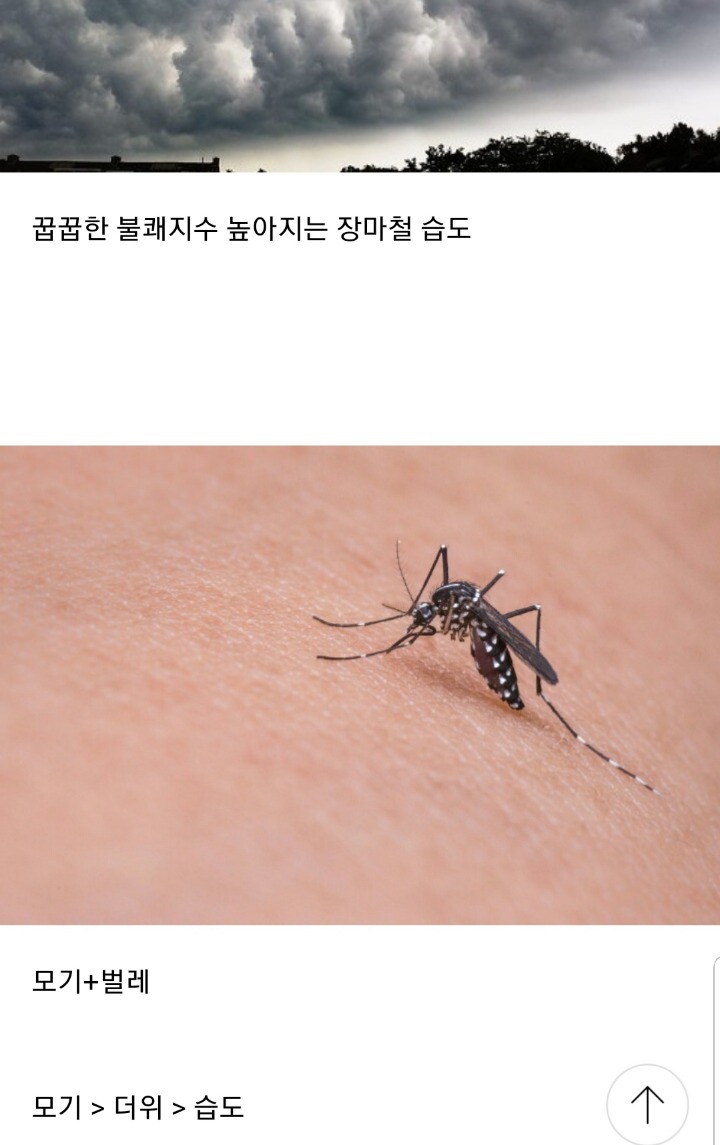 임종 그남들이 여름이 싫은 이유 | 인스티즈