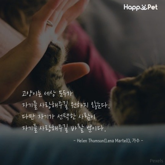 고양이를 사랑하는 사람들이 남긴 명언 | 인스티즈