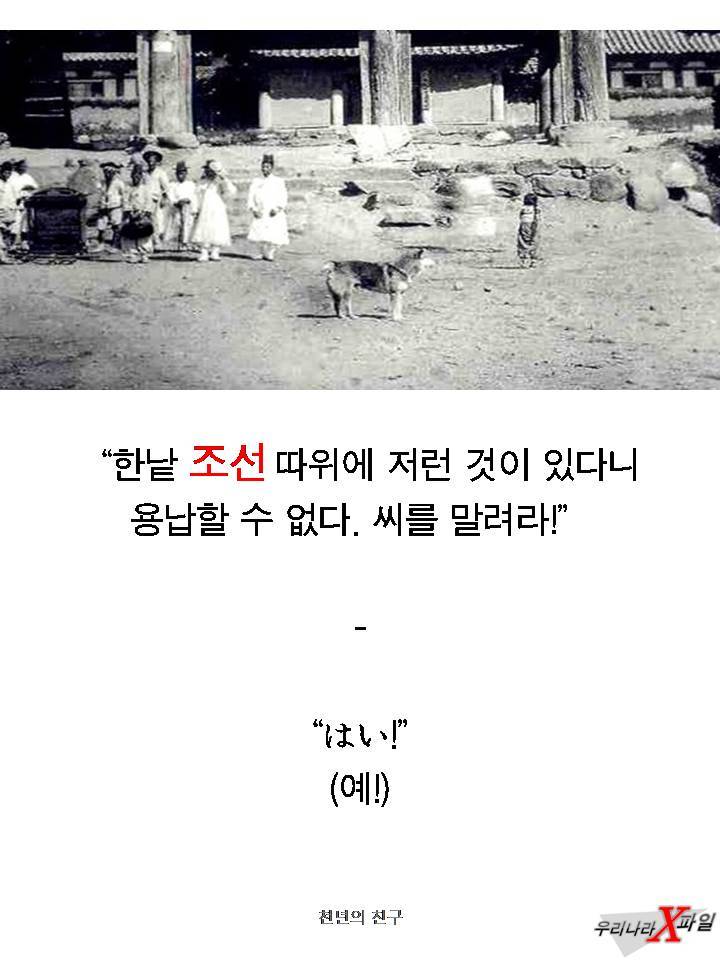 충격적인 개의 실체 ㄷㄷㄷㄷㄷ.JPG | 인스티즈