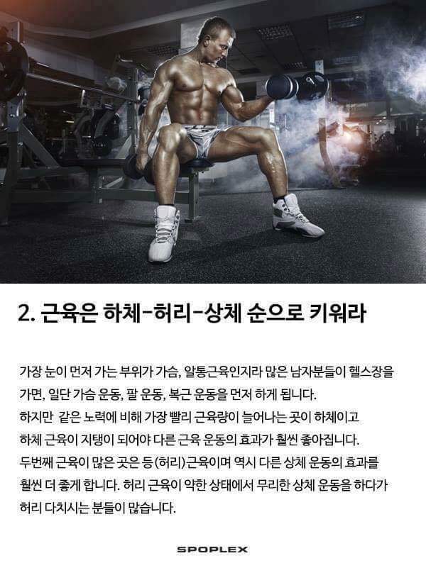 근육운동의 기본 | 인스티즈