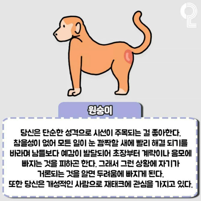 동물로 보는 성격테스트 | 인스티즈