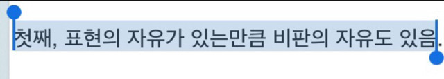 아이유에 대한 여러 전문가들의 트윗을 보면서 느끼는점.jpg | 인스티즈
