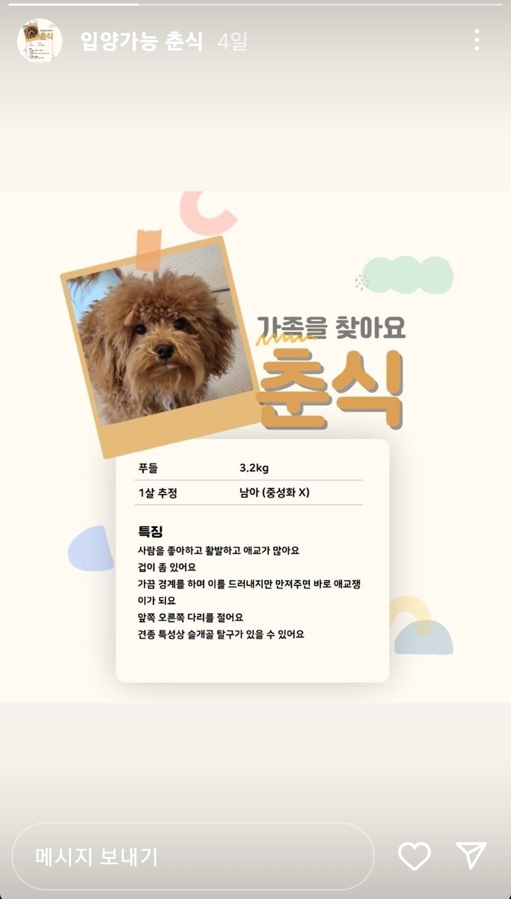유기견 카페에서 강아지 때리고 발로 차는 아이와 부모반응 | 인스티즈