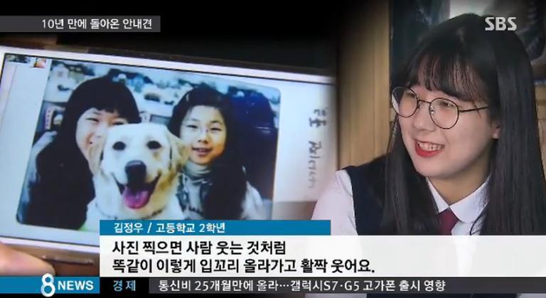 한국.. 10년간 맹인 안내견으로 살아오다 은퇴한 풍금이.. | 인스티즈