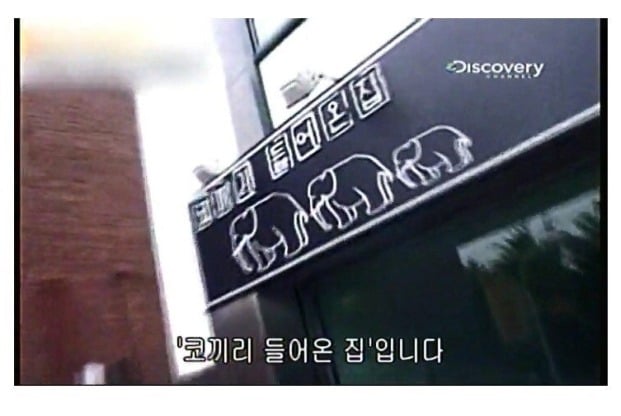 어린이대공원 코끼리 레전드 사건 jpg | 인스티즈