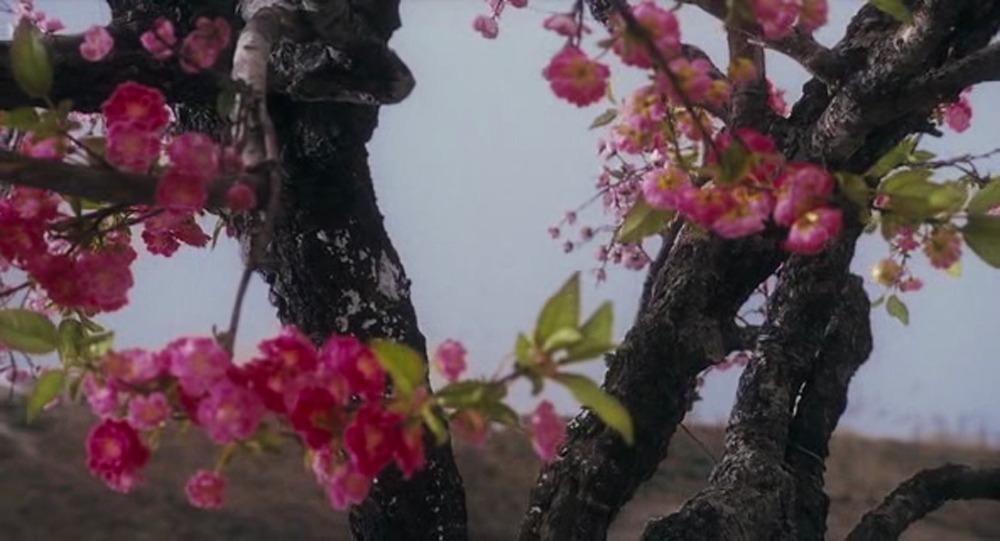 옛날영화의 흔한 영상미.jpg | 인스티즈