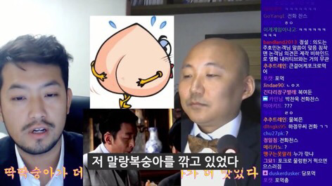 저세상 토론 복숭아 딱딱한거 vs 물렁한거 어느게 맛있나 | 인스티즈