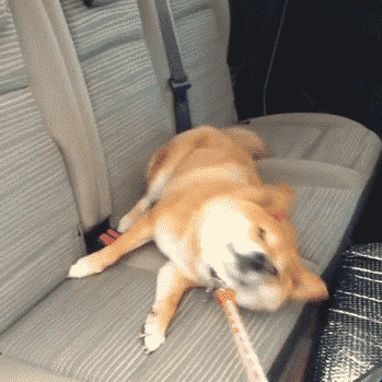 혼자 가라고 씨바.gif | 인스티즈