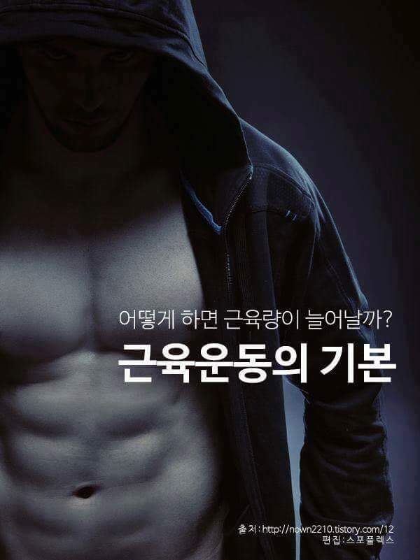 근육운동의 기본 | 인스티즈
