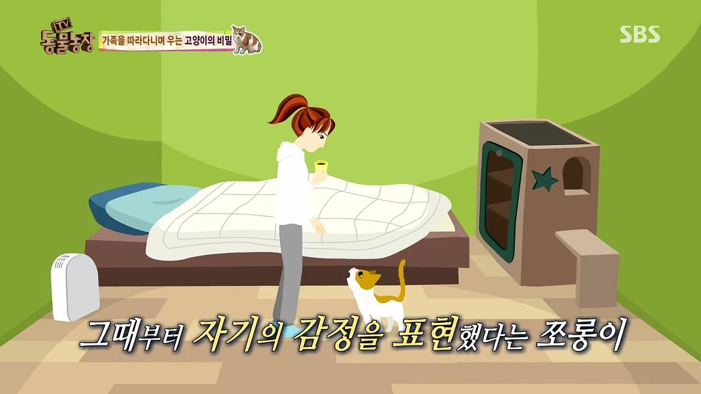 [동물농장] 존트 할말 다 하고 사는 수다쟁이 고양이 쪼롱이ㅋㅋㅋㅋ.jpg (스압) | 인스티즈