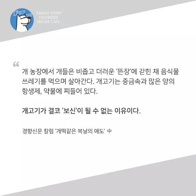 개고기를 먹지말아야 하는 설득력이 있는 이유 | 인스티즈