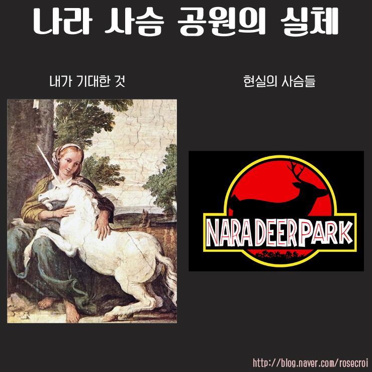 나라 사슴 공원의 실체 | 인스티즈