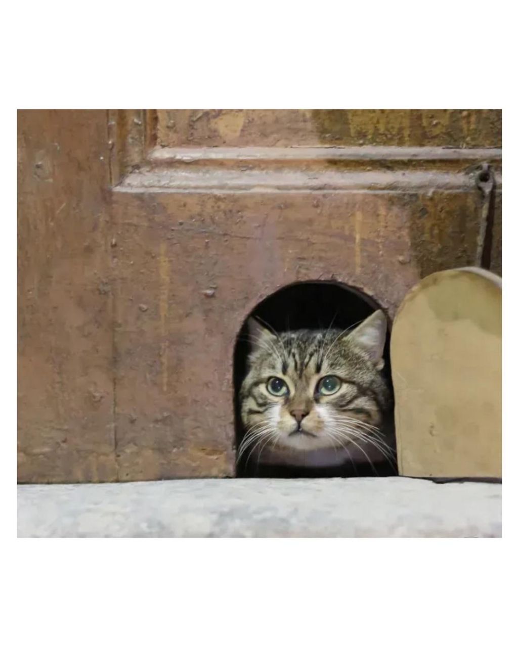 튀르키예에서 복원한 궁전 기능🏰 | 인스티즈