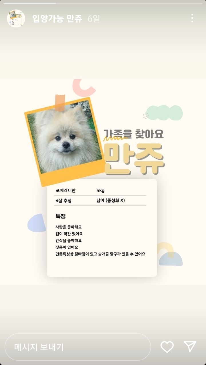 유기견 카페에서 강아지 때리고 발로 차는 아이와 부모반응 | 인스티즈
