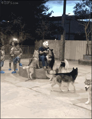 개같은 주인 | 인스티즈