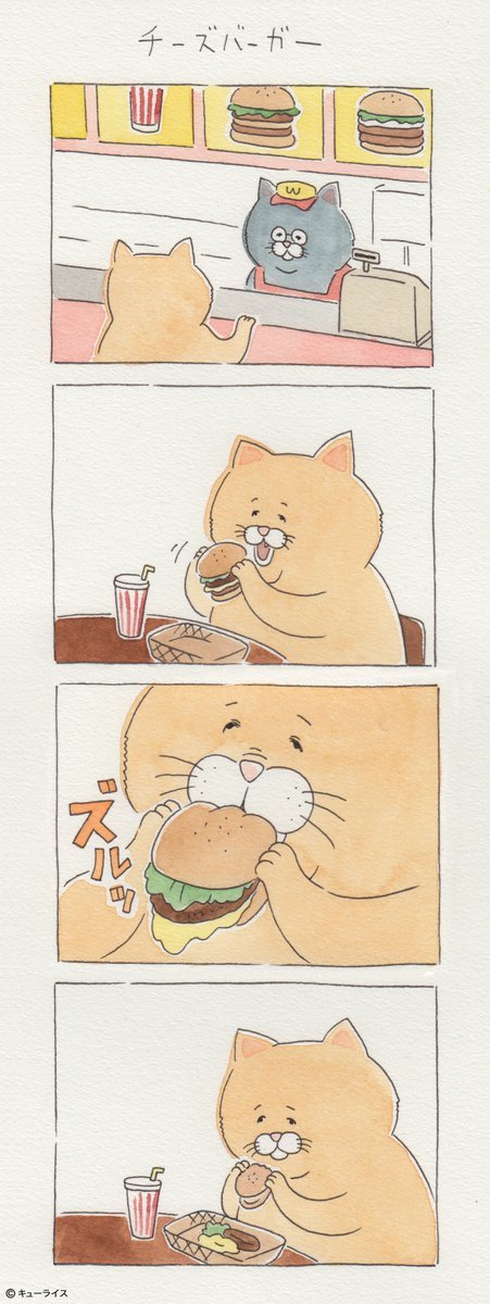 유감스러운 고양이 | 인스티즈
