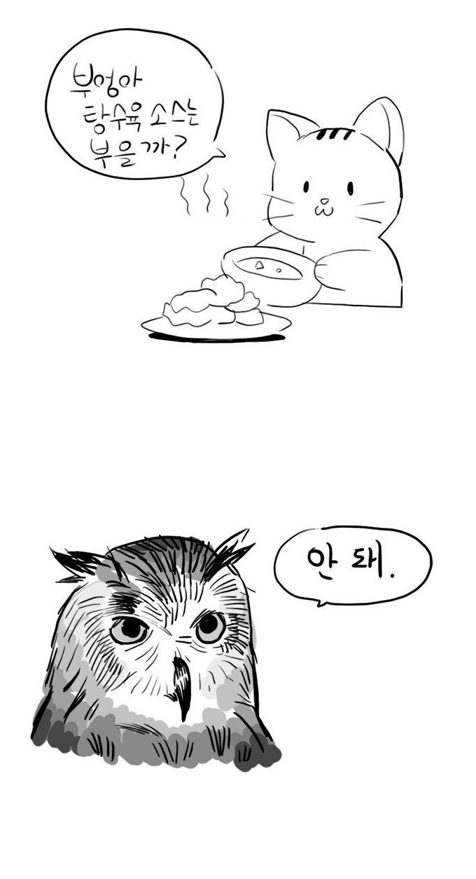 부엉이랑 중국집에 갔다.jpg | 인스티즈
