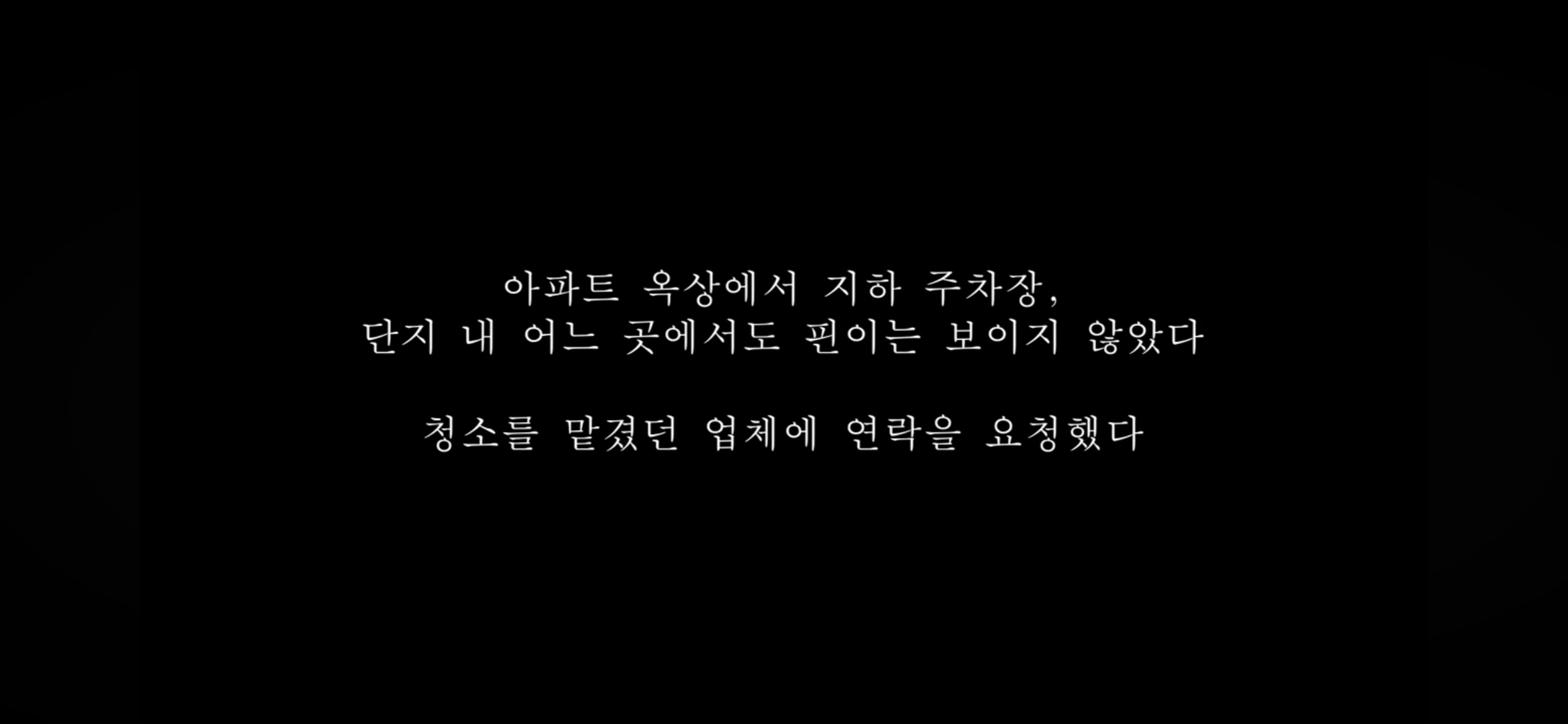 커플유튜버 다나나 고양이 청소업체 부주의로 무지개다리 건넜대 | 인스티즈