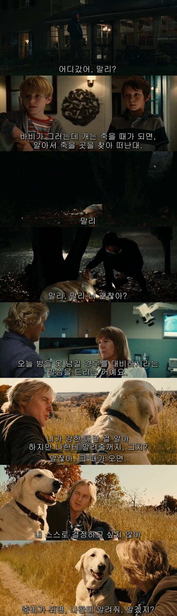 본 사람들은 불호가 거의 없다는 영화들 ㄷㄷㄷ.jpg | 인스티즈