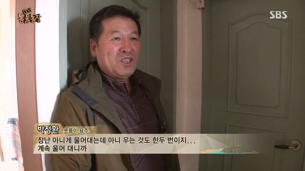 [동물농장] 존트 할말 다 하고 사는 수다쟁이 고양이 쪼롱이ㅋㅋㅋㅋ.jpg (스압) | 인스티즈