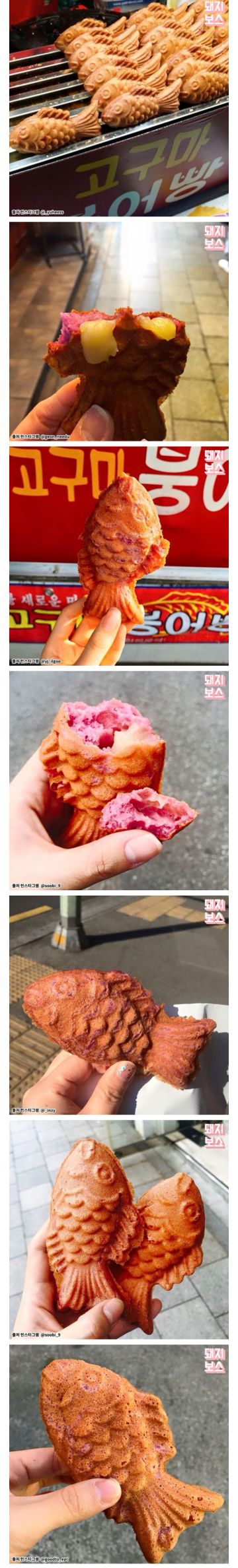 대학가에 유행이라는 고구마맛붕어빵..jpg | 인스티즈