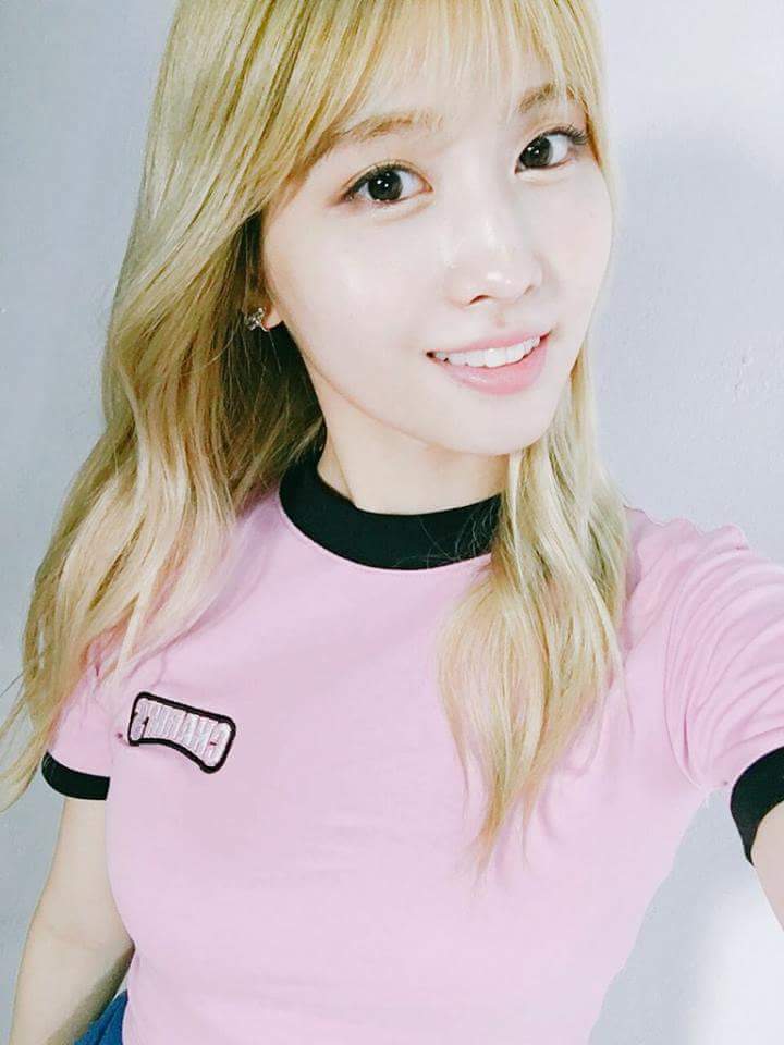 새벽의 트와이스 | 인스티즈