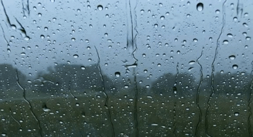 언젠가부터 사라진듯한 장마철의 분위기.gif | 인스티즈