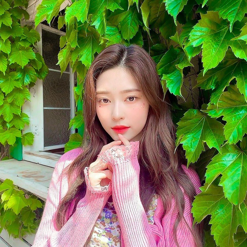 장원영 & 김민주 | 인스티즈