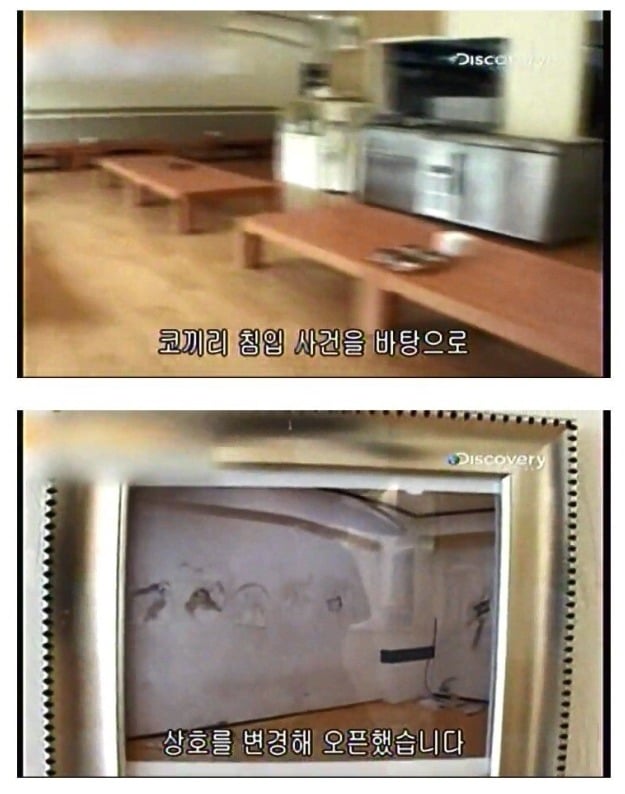 어린이대공원 코끼리 레전드 사건 jpg | 인스티즈