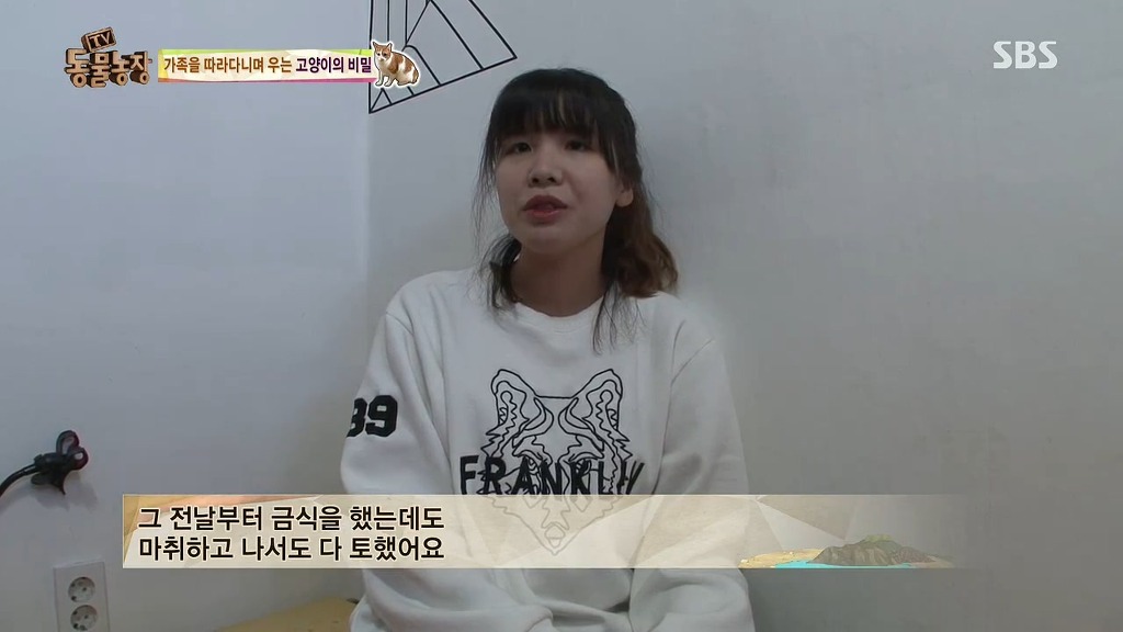 [동물농장] 존트 할말 다 하고 사는 수다쟁이 고양이 쪼롱이ㅋㅋㅋㅋ.jpg (스압) | 인스티즈