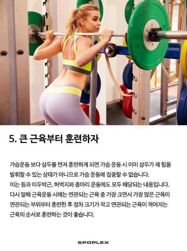 근육운동의 기본 | 인스티즈