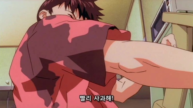 에반게리온으로 보는 현실적인 남매.jpg | 인스티즈